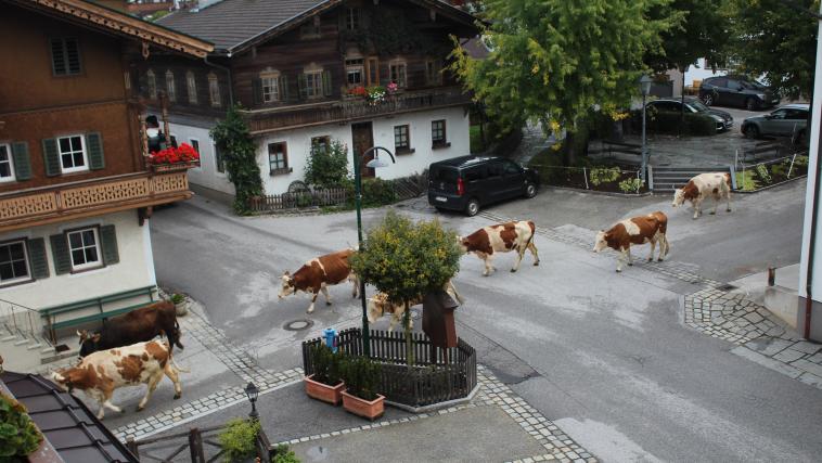 Village au Tyrol Autrichien 