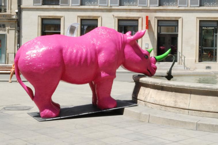 Pink Rhino