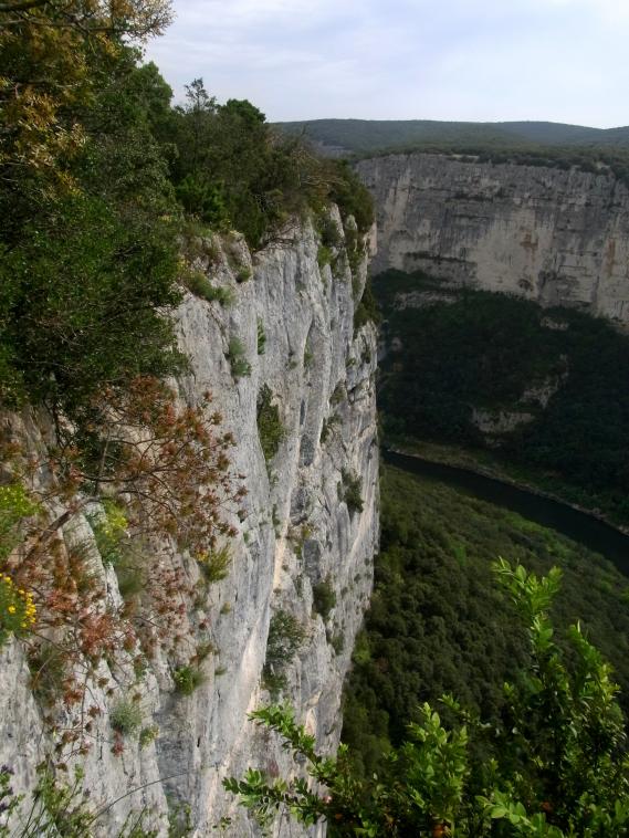 Le flanc de la gorge de l'Ardche.