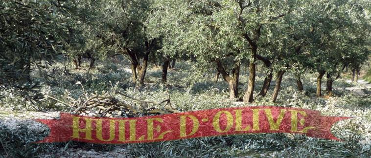 Le sud vous parle ....