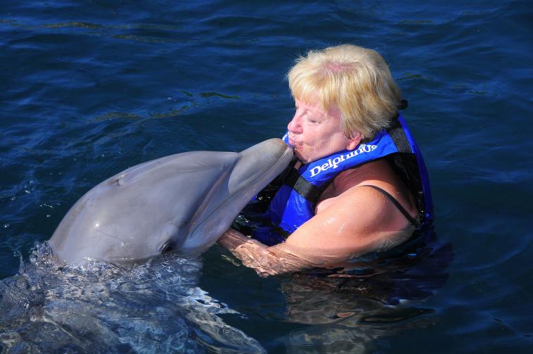 Embrasser le dauphin sur la bouche