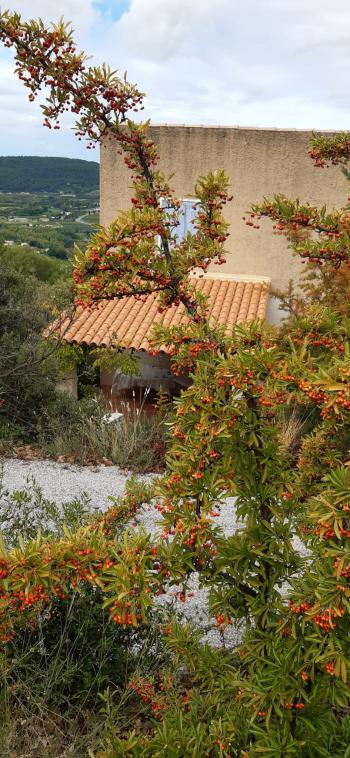 L'automne en Provence