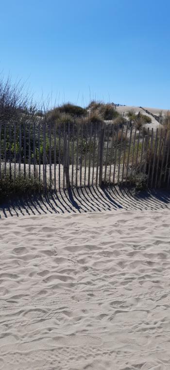 Plage vide