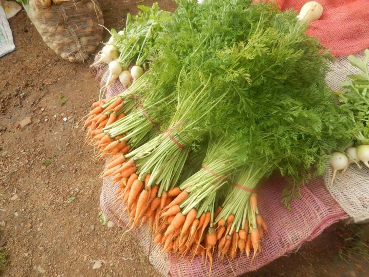 De bonne carottes