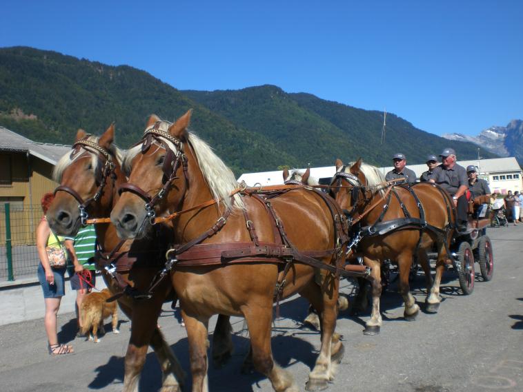 Journe de l'Attelage