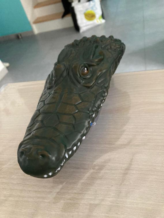 Une tête de crocodile... mais encore ? 
