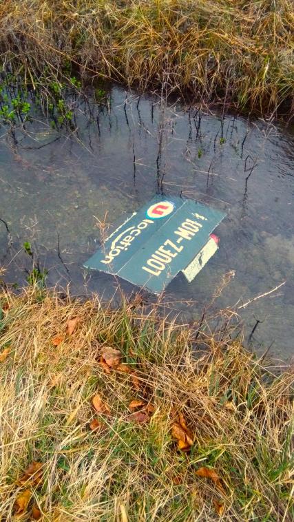 Dans un ruisseau