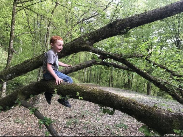 Sur les branches 