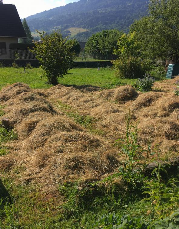 Jardin en permaculture 