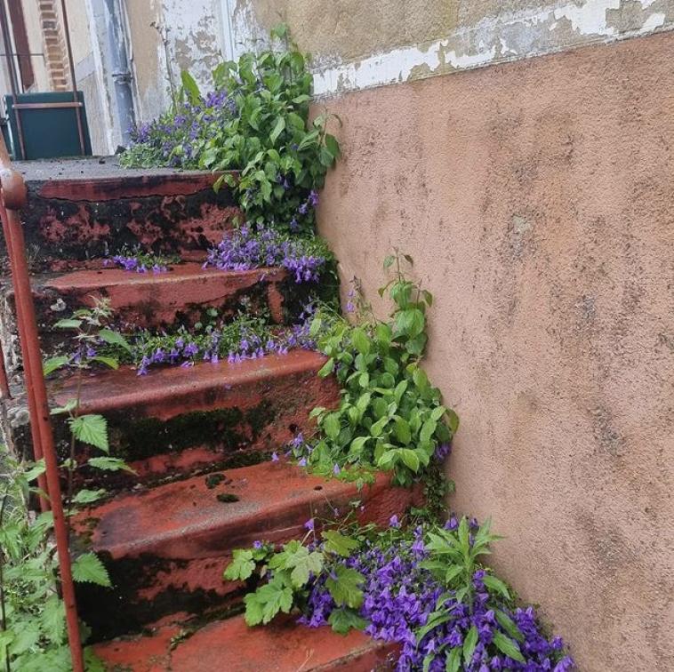 Celui-ci n'est pas souvent utilis� ! 