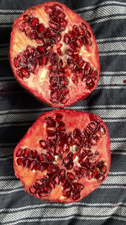 Beaut� de l'int�rieur du grenade