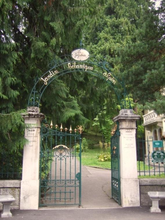 Jardin botanique alpin - La Jaysinia