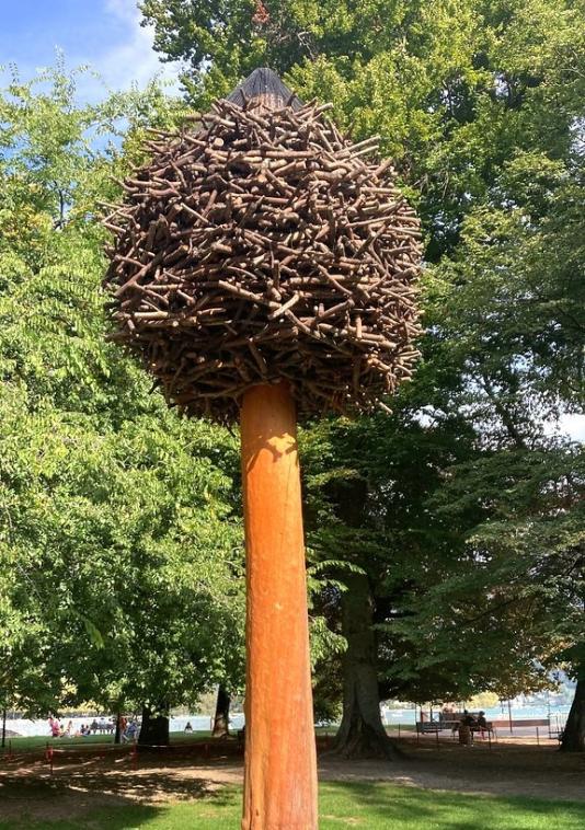 Un arbre qui ne manque de piquant 