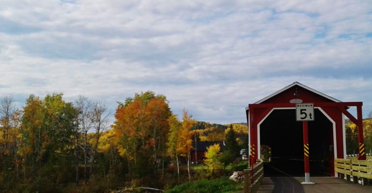 Le pont et l'automne
