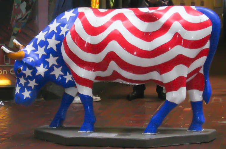 Patriotic Cow