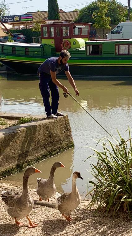 Amateurs de poissons!