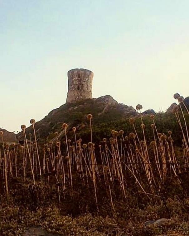 La tour gnoise des Iles Sanguinaires.