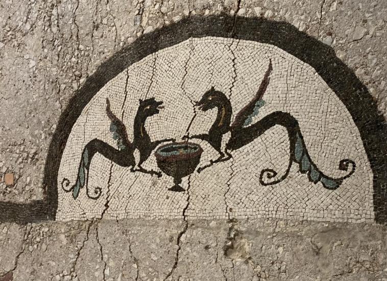 Les animaux fantastiques !!!