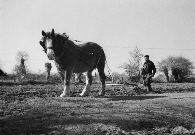 Je vous pr�sente le Bijou d'Alfred.