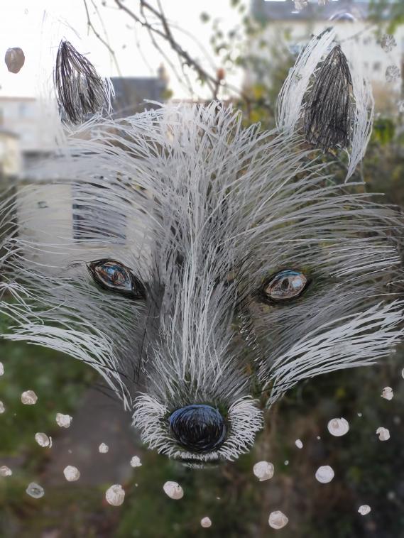 Renard blanc: d�co d'hiver