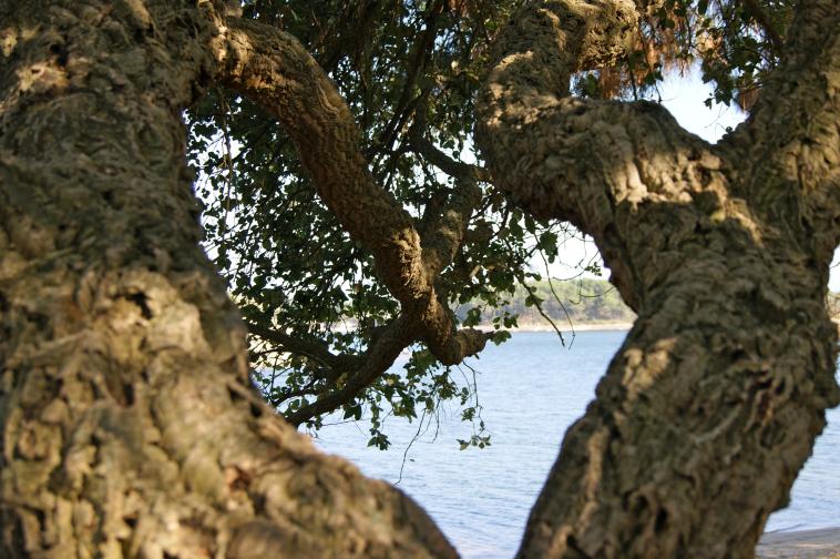 L'amour dans la nature...