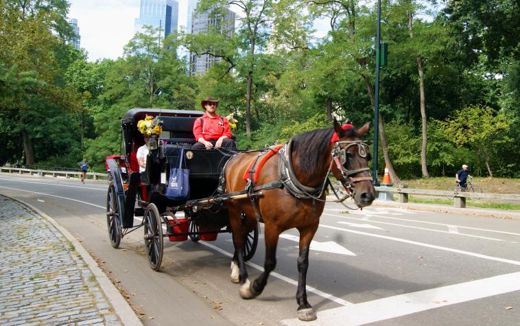 Ce sera donc 4 roues sur Central Park...