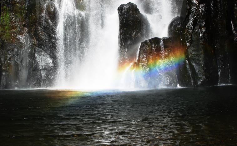 Spectacle naturel