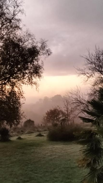 La magie de la nature 