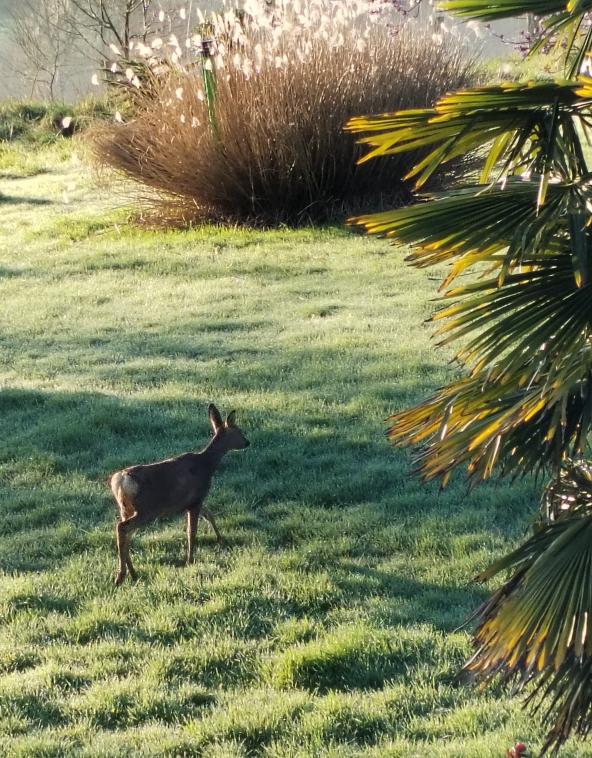 Vu autrement que dans une assiette 