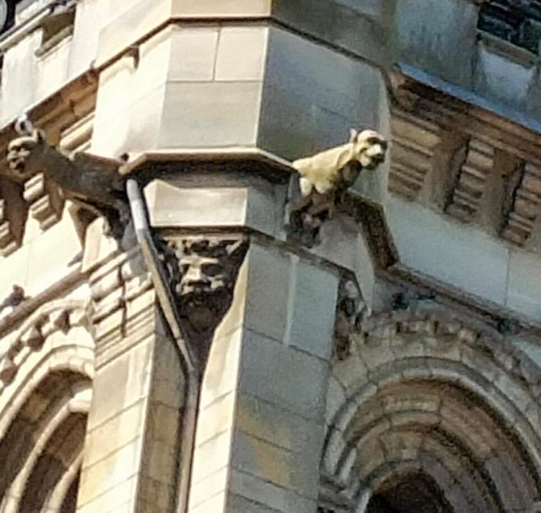 Gargouille d'�glise 