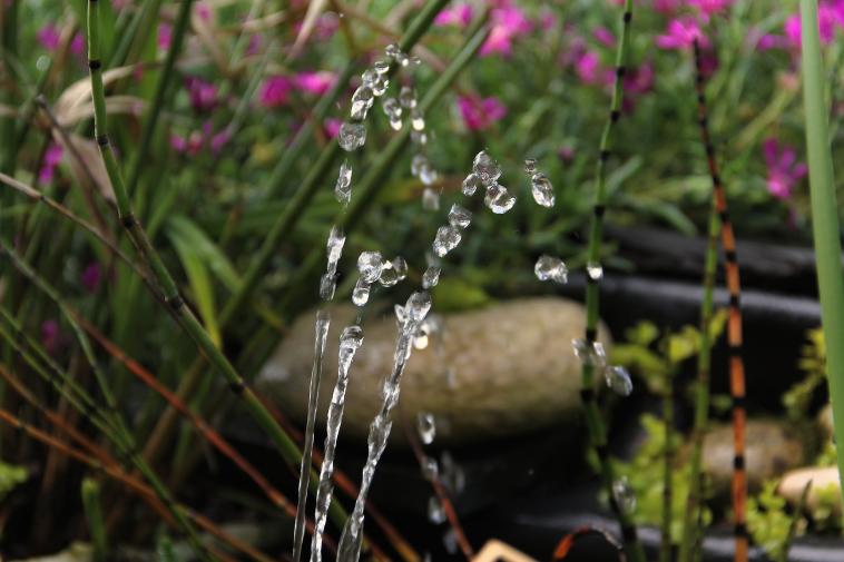 L'eau indispensable  la vie