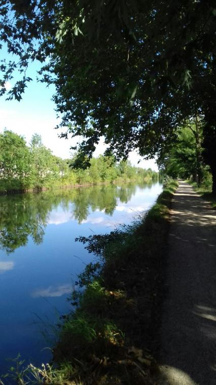 Weekend promenade au bord d'un canal . 