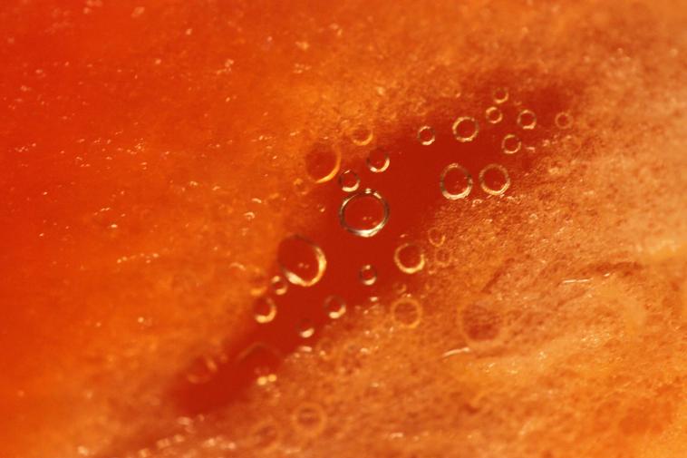 Inside an orange peper