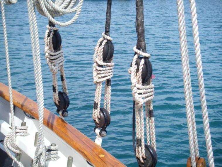 Noeuds marins savamment alignés