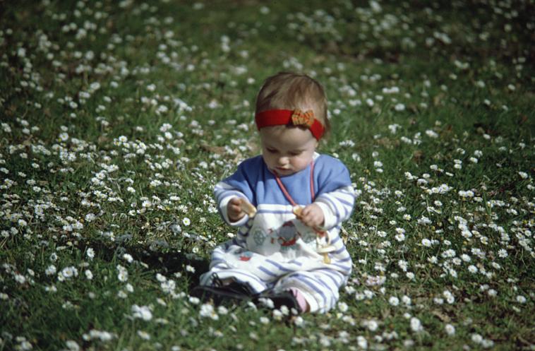 Une fleur parmi les fleurs