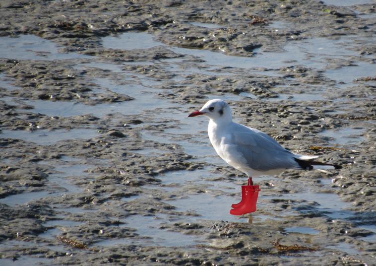 Les pieds dans l'eau