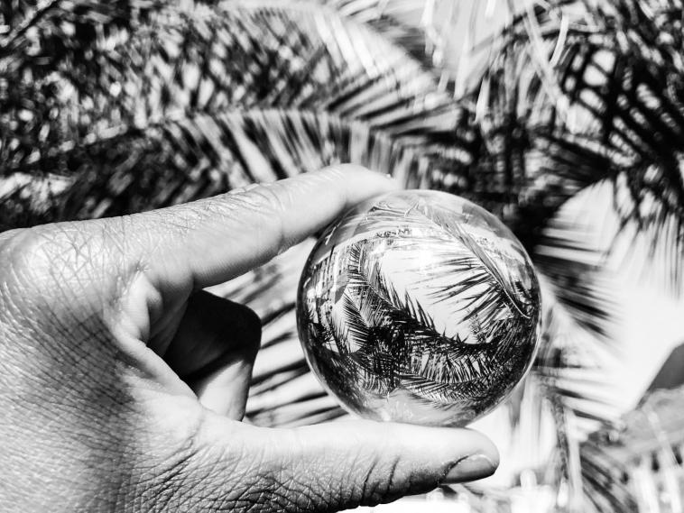 Noir Blanc & Boule
