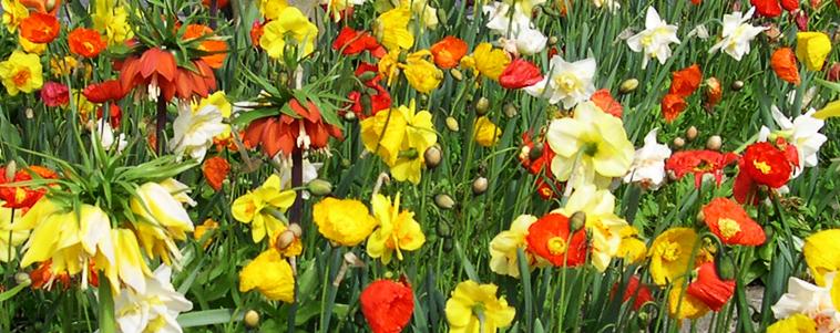 Vivement le printemps et ses couleurs vives !