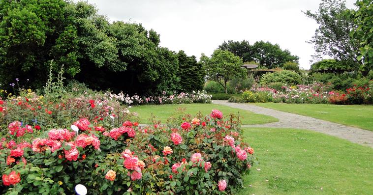Parc floral de la roseraie à Nantes