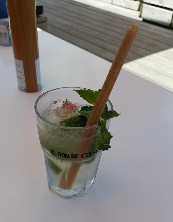 VIRGIN MOJITO