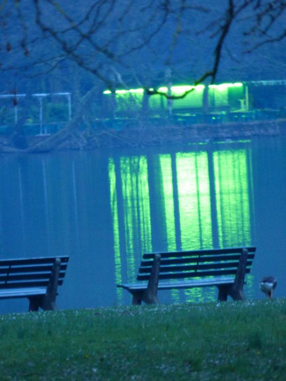 Un soir au Parc de la Tte d'Or