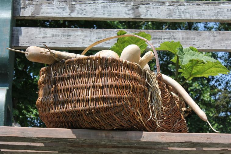 Mon panier de Claude Ponti