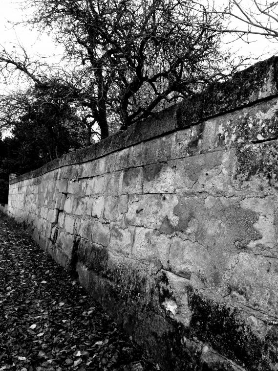 Le vieux mur qui m'a regard aller  l'cole...