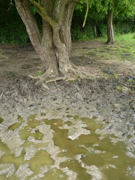 Mandres d'eau et de branches.