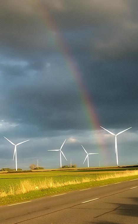 a bouge avec le vent...