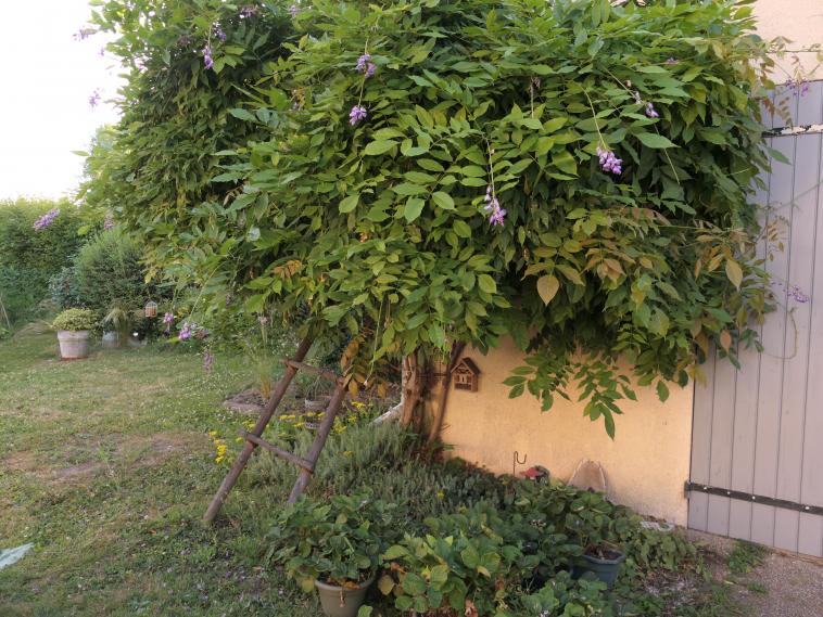 Ce sera un bout de mon jardin ...