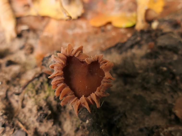 L'embarras du choix ! 