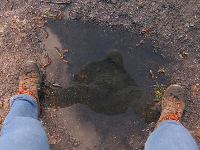 Plong�e ou contre plong�e ? 