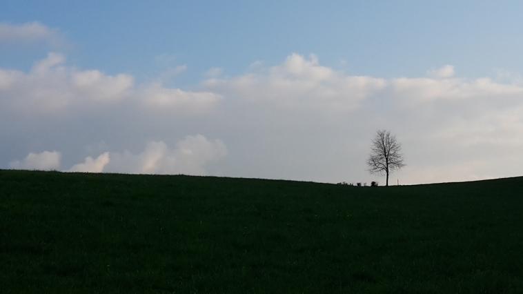 Droit, comme l'horizon dessinant notre terre.